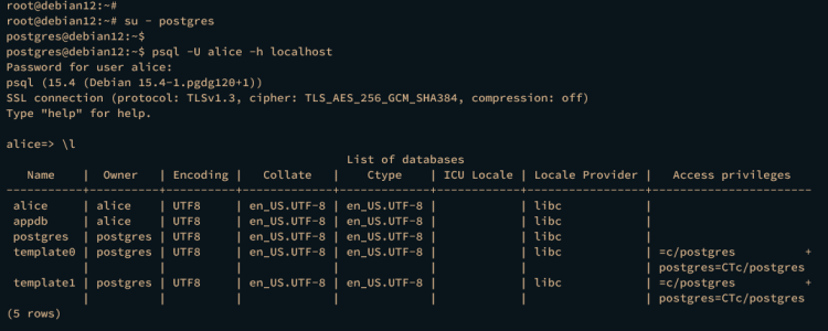 如何在 Debian 12 上安装 PostgreSQL 和 pgAdmin 工具