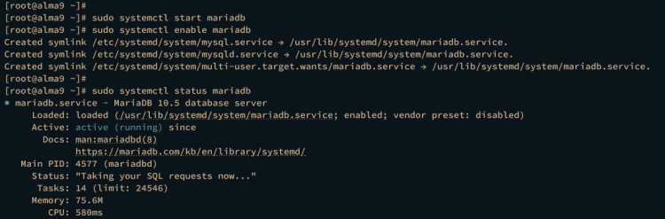 在 AlmaLinux 9 上安装 Matomo Web Analytics 指南