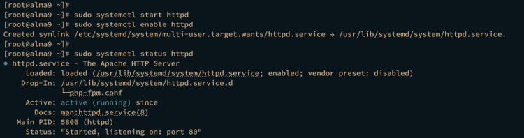 在 AlmaLinux 9 上安装 Matomo Web Analytics 指南