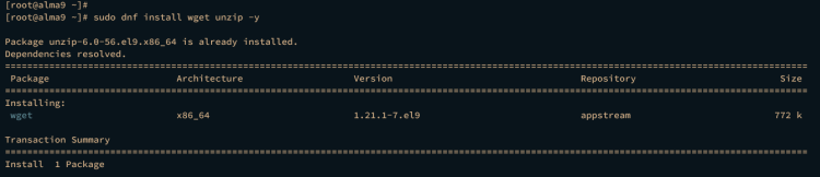在 AlmaLinux 9 上安装 Matomo Web Analytics 指南