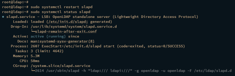 如何在 Debian 12 上安装 OpenLDAP 服务器和 LDAP Account Manager