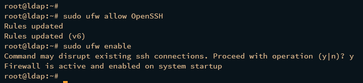 如何在 Debian 12 上安装 OpenLDAP 服务器和 LDAP Account Manager