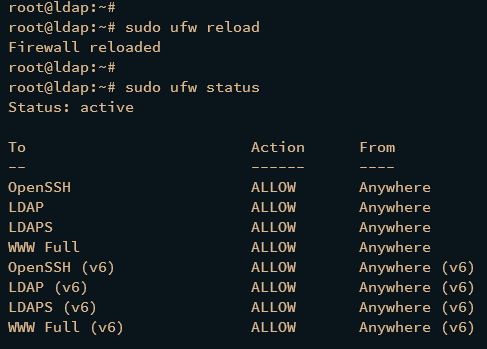 如何在 Debian 12 上安装 OpenLDAP 服务器和 LDAP Account Manager