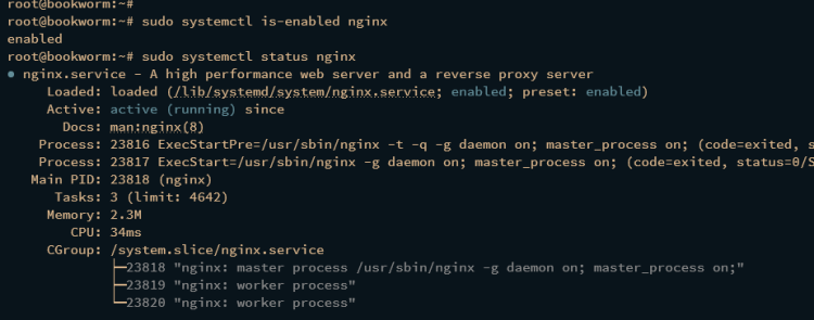 如何在 Debian 12 上安装 Etherpad
