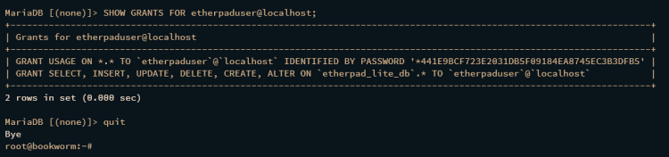 如何在 Debian 12 上安装 Etherpad