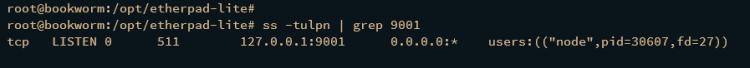 如何在 Debian 12 上安装 Etherpad