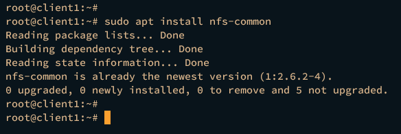 在 Debian 12 上安装 NFS 服务器与客户端
