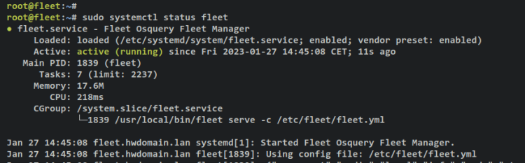 在 Ubuntu 22.04 上安装 Fleet Osquery Manager
