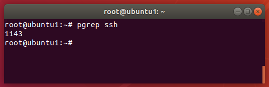 在 Linux 上查看正在运行的进程