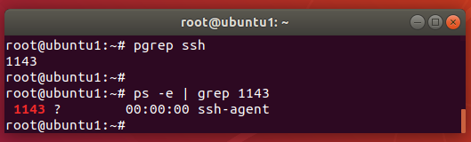 在 Linux 上查看正在运行的进程