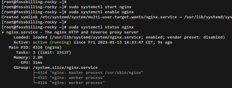 如何在 Rocky Linux 9 上使用 Nginx 安装 FOSSBilling