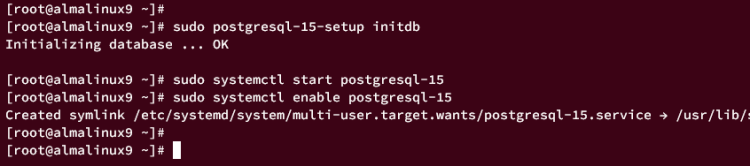 如何在 AlmaLinux 9 上安装 Ruby on Rails 并配合 PostgreSQL