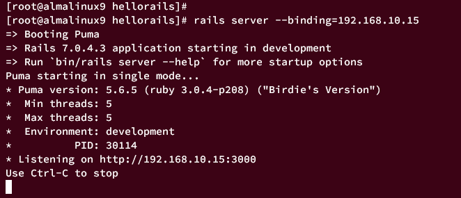 如何在 AlmaLinux 9 上安装 Ruby on Rails 并配合 PostgreSQL