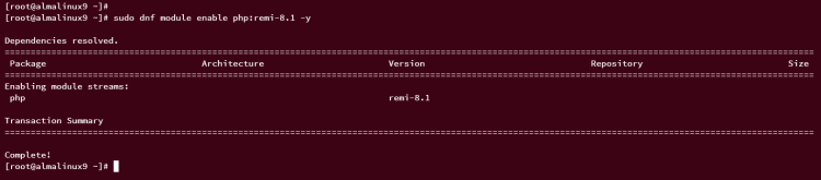 在 AlmaLinux 9 上使用 Nginx 安装 TYPO3 CMS