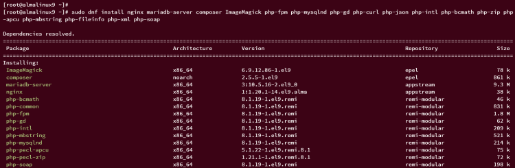 在 AlmaLinux 9 上使用 Nginx 安装 TYPO3 CMS