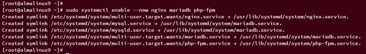 在 AlmaLinux 9 上使用 Nginx 安装 TYPO3 CMS