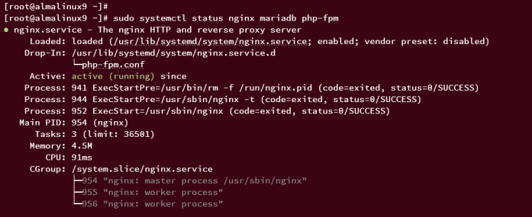 在 AlmaLinux 9 上使用 Nginx 安装 TYPO3 CMS