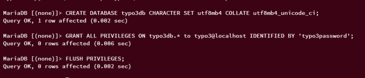在 AlmaLinux 9 上使用 Nginx 安装 TYPO3 CMS