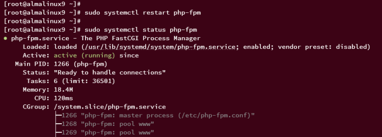 在 AlmaLinux 9 上使用 Nginx 安装 TYPO3 CMS