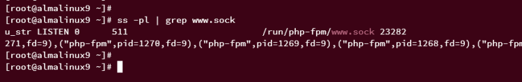在 AlmaLinux 9 上使用 Nginx 安装 TYPO3 CMS