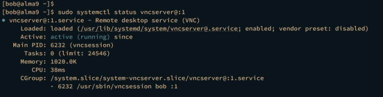 在 AlmaLinux 9 上安装 VNC Server 指南