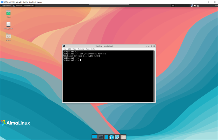 在 AlmaLinux 9 上安装 VNC Server 指南