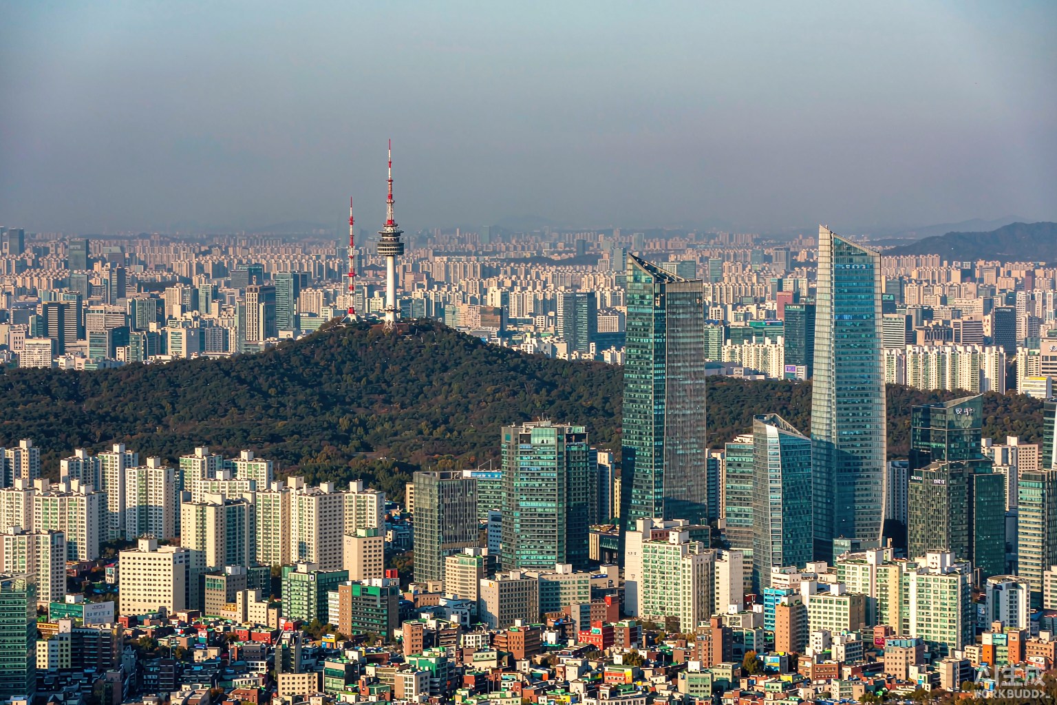 韩国.KR域名是什么？本地SEO为何更占优