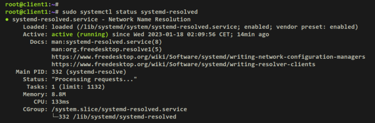 如何在 Debian 上使用 Unbound 搭建本地 DNS 解析器