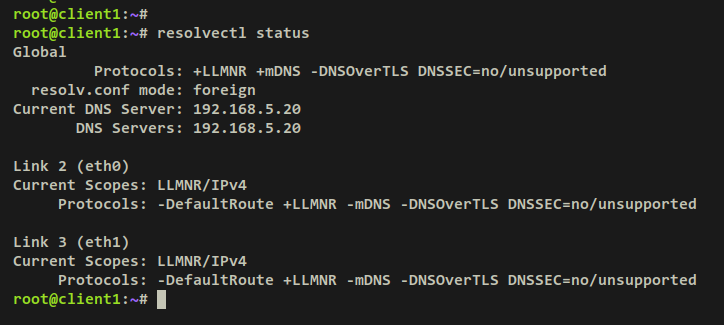 如何在 Debian 上使用 Unbound 搭建本地 DNS 解析器