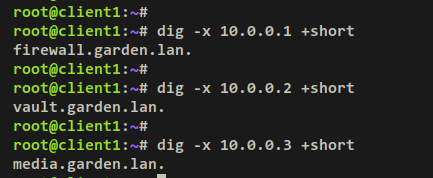 如何在 Debian 上使用 Unbound 搭建本地 DNS 解析器