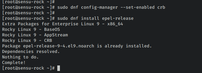 如何在 Rocky Linux 9 上安装 Sensu 监控方案