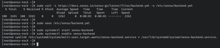 如何在 Rocky Linux 9 上安装 Sensu 监控方案