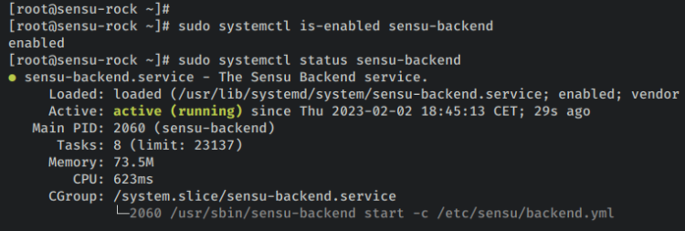 如何在 Rocky Linux 9 上安装 Sensu 监控方案