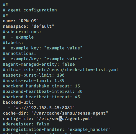 如何在 Rocky Linux 9 上安装 Sensu 监控方案