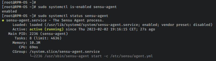 如何在 Rocky Linux 9 上安装 Sensu 监控方案
