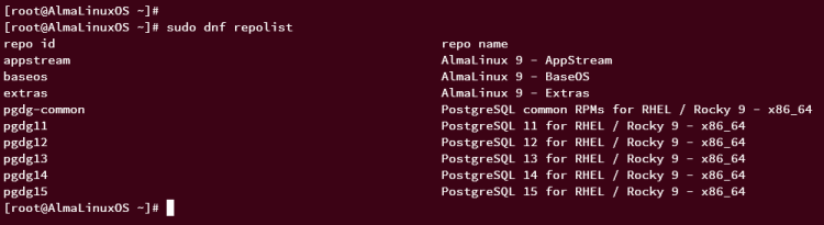 分步指南：在 AlmaLinux 9 上安装 PostgreSQL