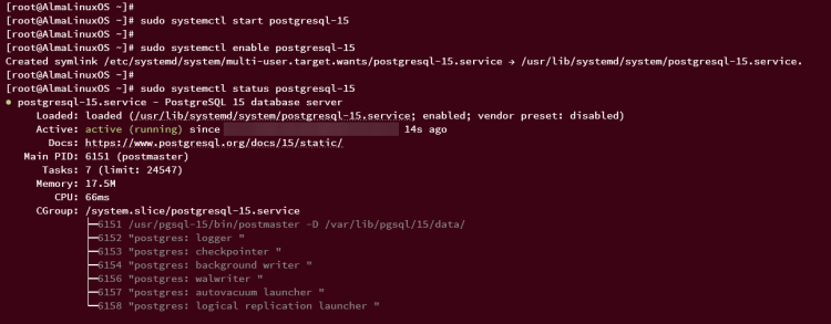 分步指南：在 AlmaLinux 9 上安装 PostgreSQL