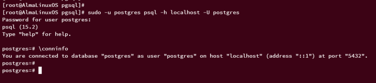 分步指南：在 AlmaLinux 9 上安装 PostgreSQL