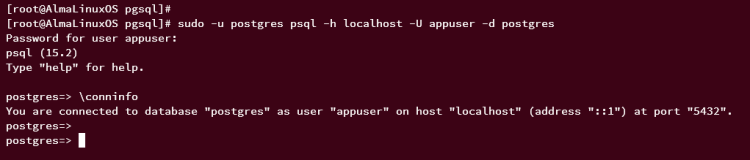 分步指南：在 AlmaLinux 9 上安装 PostgreSQL