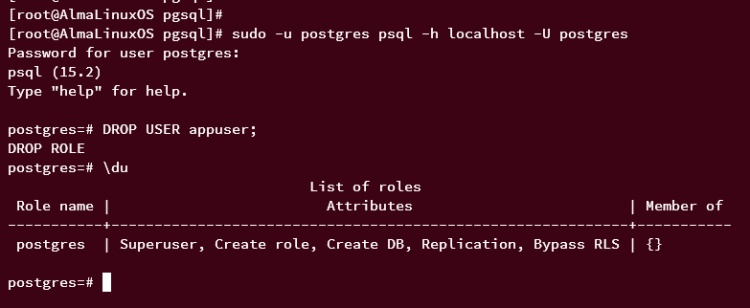 分步指南：在 AlmaLinux 9 上安装 PostgreSQL