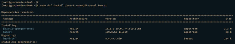 在 AlmaLinux 9 上通过 Apache Guacamole 搭建远程桌面网关