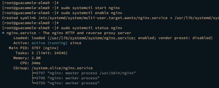 在 AlmaLinux 9 上通过 Apache Guacamole 搭建远程桌面网关
