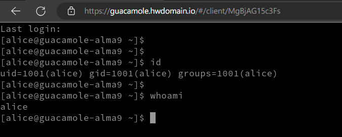 在 AlmaLinux 9 上通过 Apache Guacamole 搭建远程桌面网关