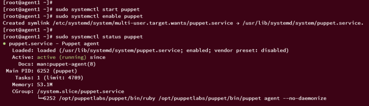在 AlmaLinux 9 上安装 Puppet 服务端并部署其客户端