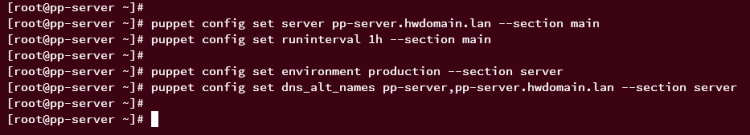 在 AlmaLinux 9 上安装 Puppet 服务端并部署其客户端