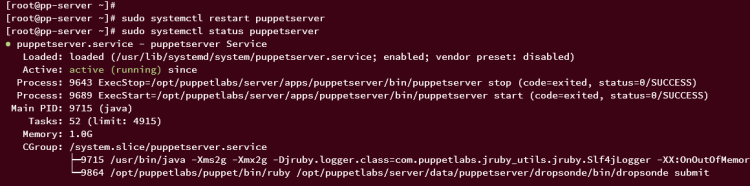 在 AlmaLinux 9 上安装 Puppet 服务端并部署其客户端