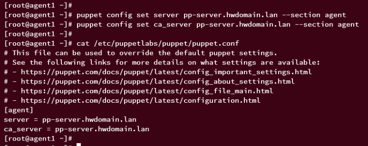 在 AlmaLinux 9 上安装 Puppet 服务端并部署其客户端