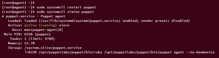 在 AlmaLinux 9 上安装 Puppet 服务端并部署其客户端