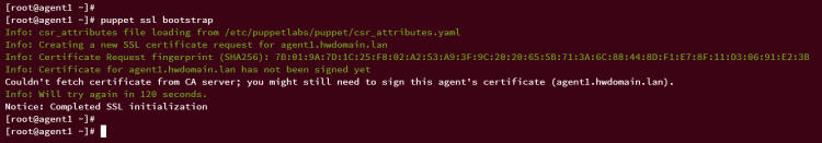 在 AlmaLinux 9 上安装 Puppet 服务端并部署其客户端