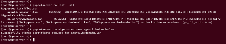 在 AlmaLinux 9 上安装 Puppet 服务端并部署其客户端